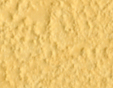 SLP_919