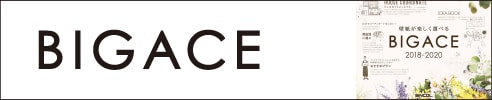 BIGACE